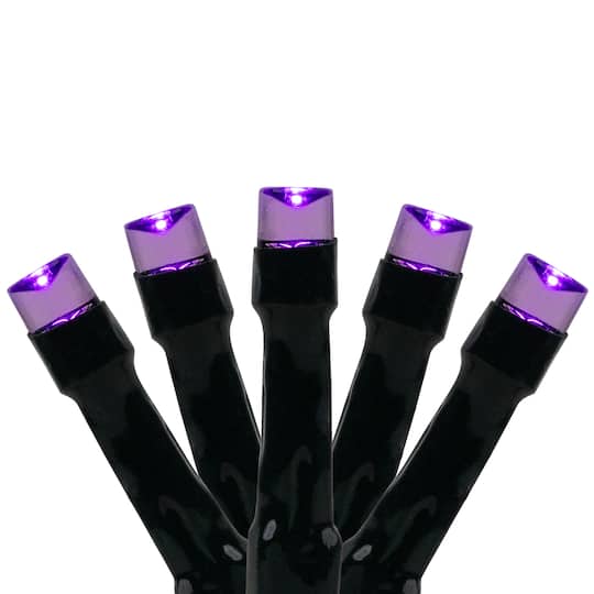 Northlight 20ct. LED Wide Angle Christmas & Halloween String Lights in Purple | 10 ft | Michaels®